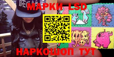 стафф Гатчина