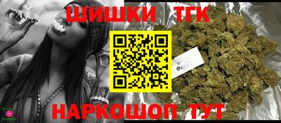 стафф Гатчина