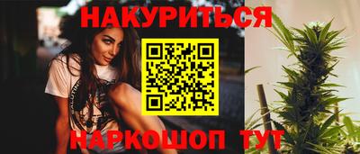 стафф Гатчина
