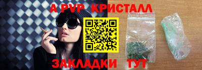 стафф Гатчина