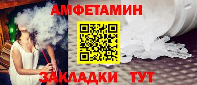 стафф Гатчина