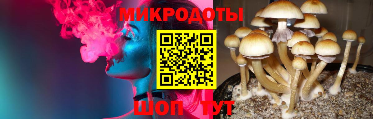 Галлюциногенные грибы прущие грибы Валуйки